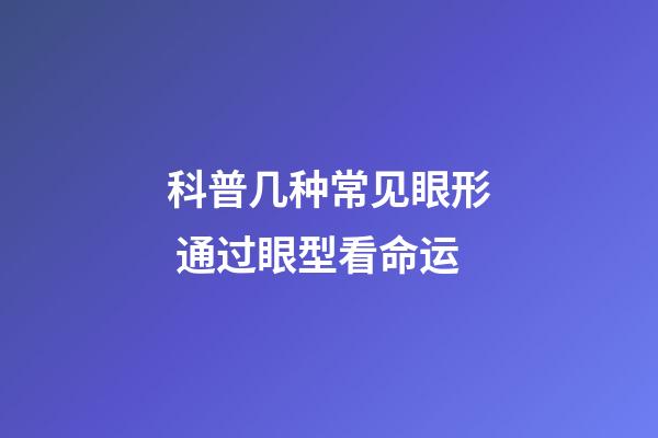 科普几种常见眼形 通过眼型看命运